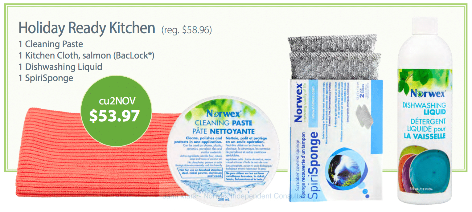Norwex Holiday Ready Kitchen
