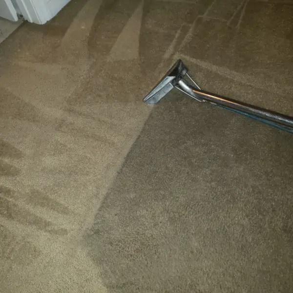 Carpet Cleaning Clean All of North Jersey You'll Get The Absolute