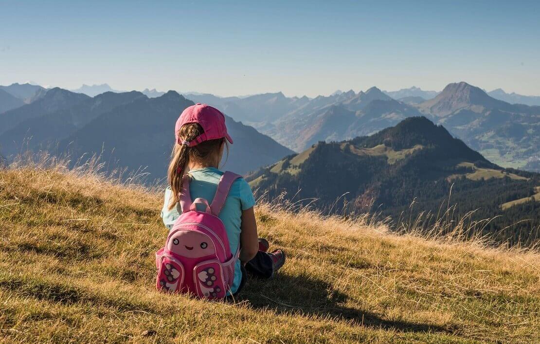 Top 12 Best Backpacks for Elementary School to Checkout in 2021 Buyer