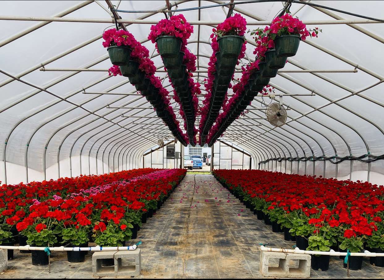 Alldredge Gardens Best Of Midland Texas