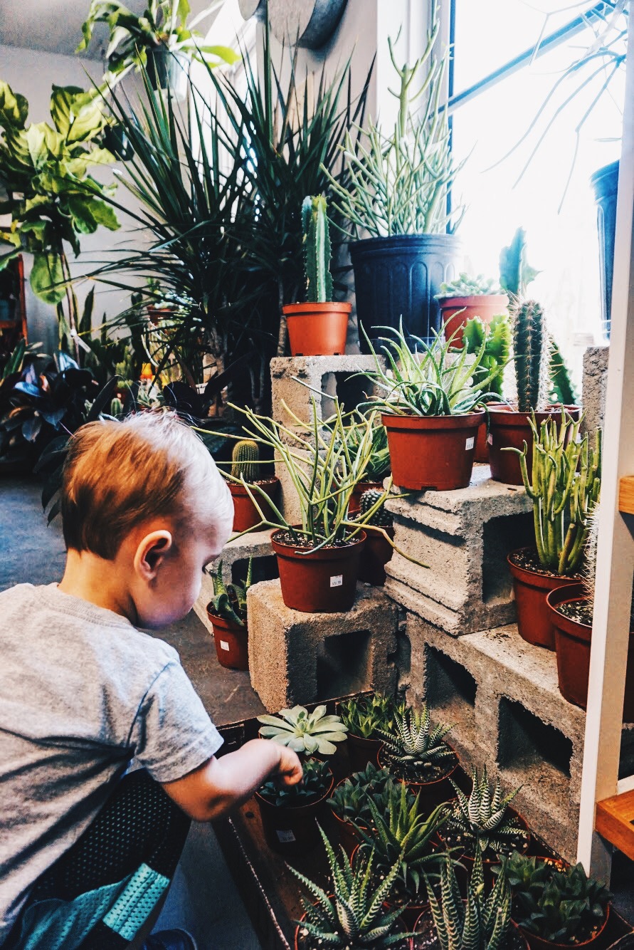 Buybuybaby Garden City Buybuy Baby Garden City, NY About 0 of