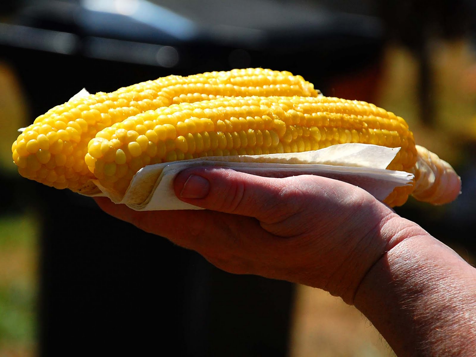 umsville corn festival 2023 Aumsville Corn FestivalAumsville Corn Festival