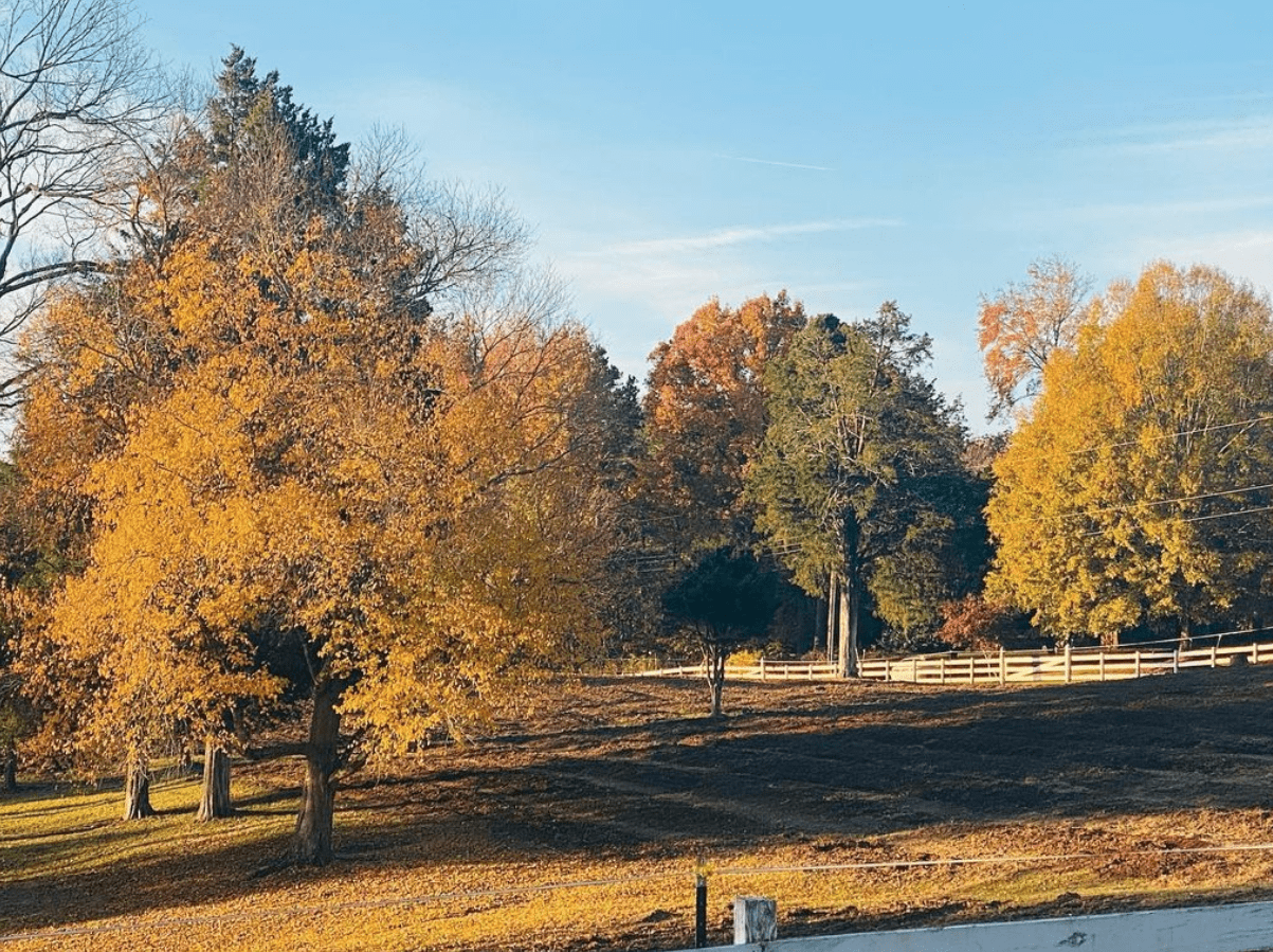 Dewberry Farms Best of Winston