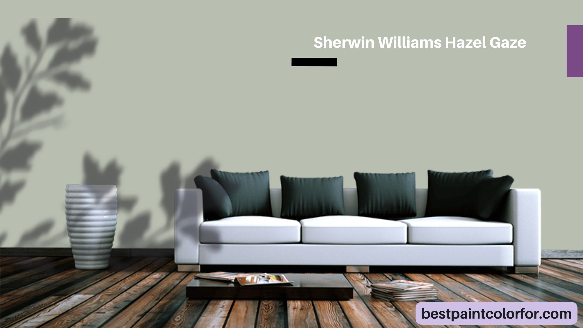 Go Away Green Color A complete Guide & Color Review Best Paint Color For