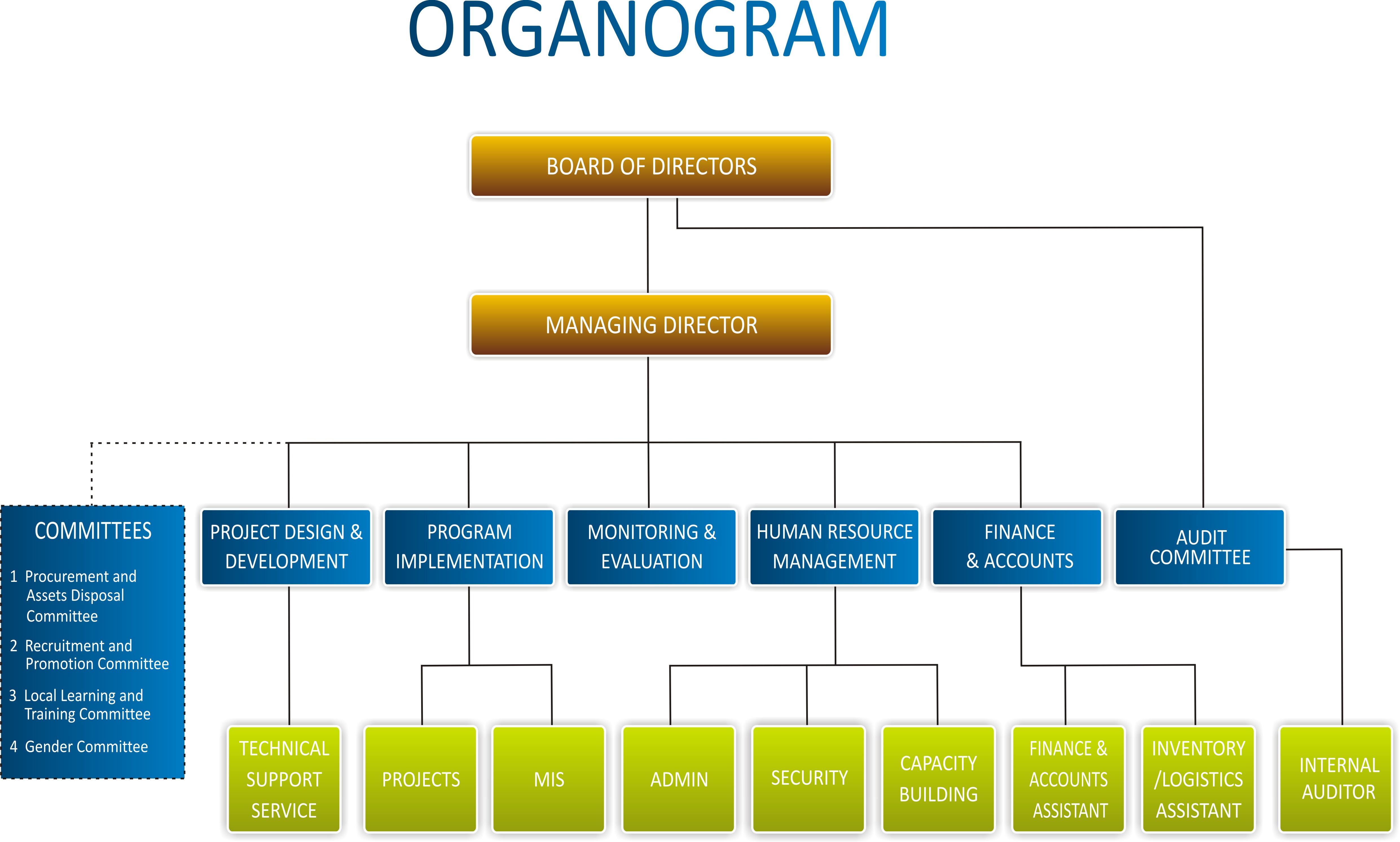 Organogram Example Org Chart Organogram Organizational Chart Images