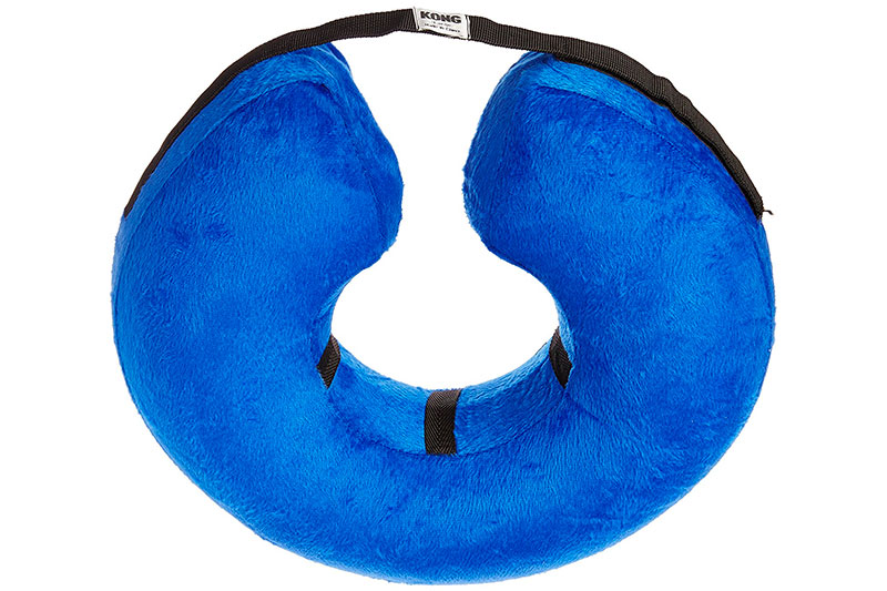 Top 10 Best Dog Recovery Collars of 2024 Review Best Pet Pro