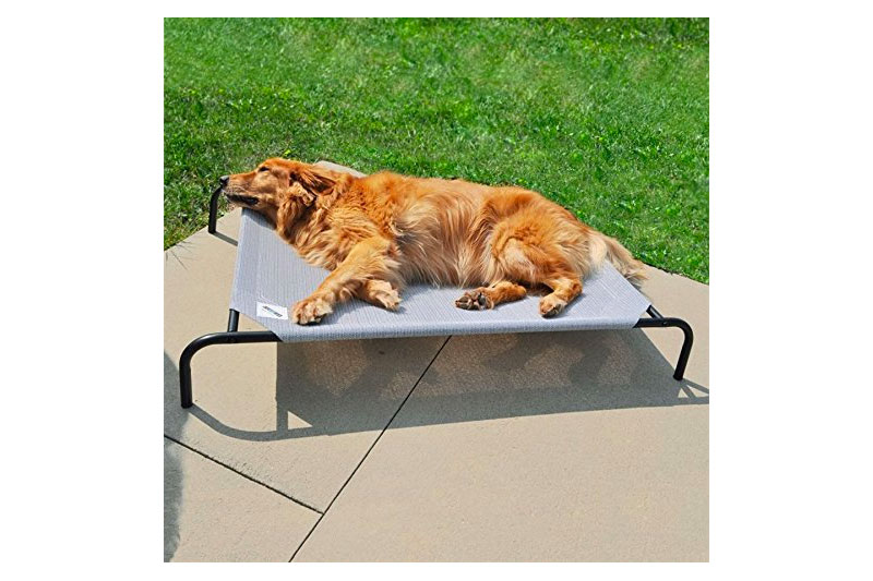 The 10 Best Dog Bed with Covered Top of 2022 Review Best Pet Pro