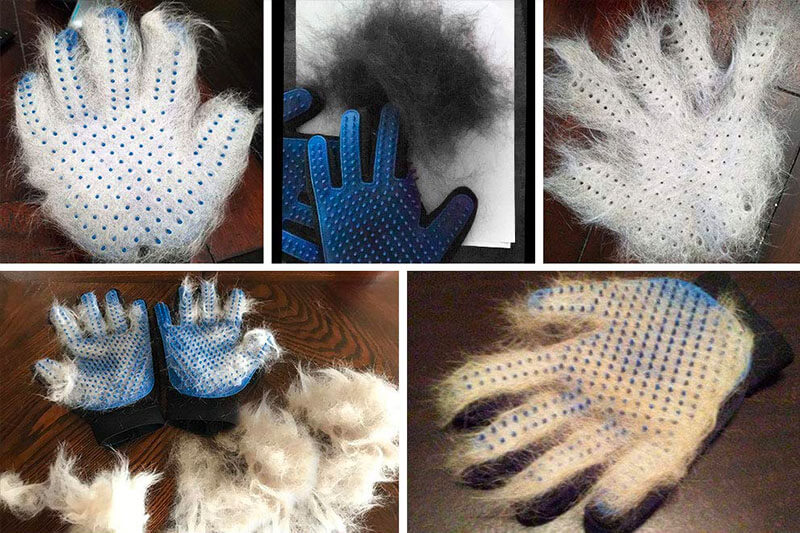 The 10 Best Pet Hair Remover Gloves of 2022 Review Best Pet Pro