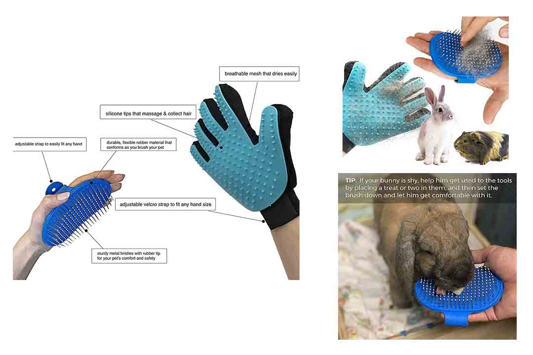 Top 10 Best Rabbit Grooming Brush of 2024 Review Best Pet Pro