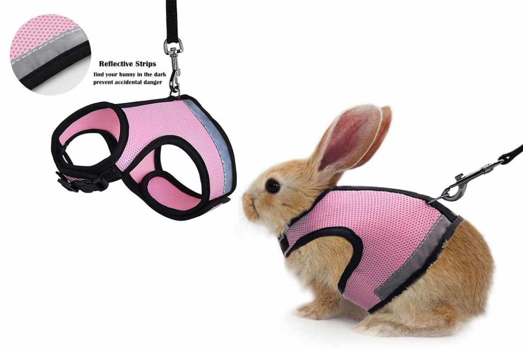 The 10 Best Breathable Bunny Harness of 2023 Review & Buyer's Guide