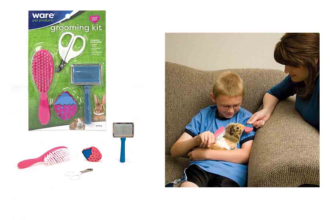 Top 10 Best Rabbit Grooming Brush of 2024 Review Best Pet Pro