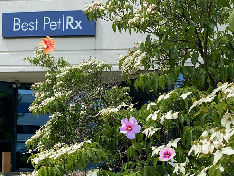 HERE WE GROW AGAIN! Best Pet RX