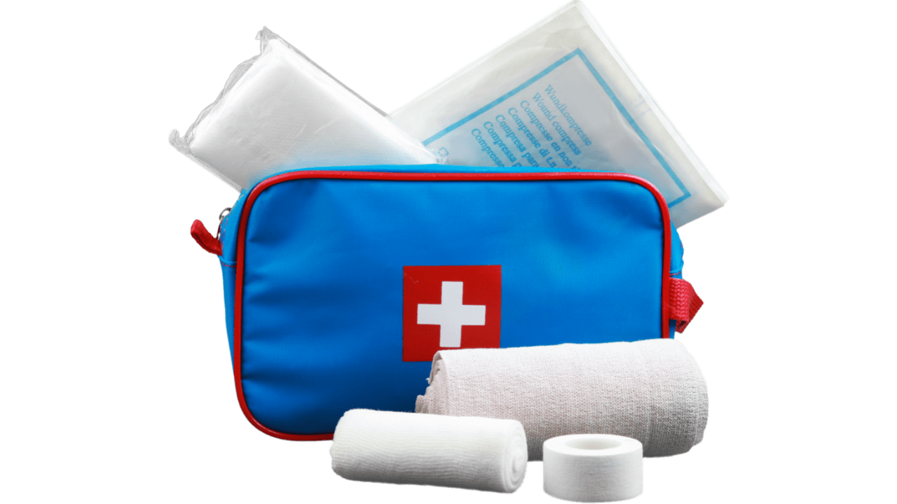 Can dog beds cause allergies? Best Pets Beds