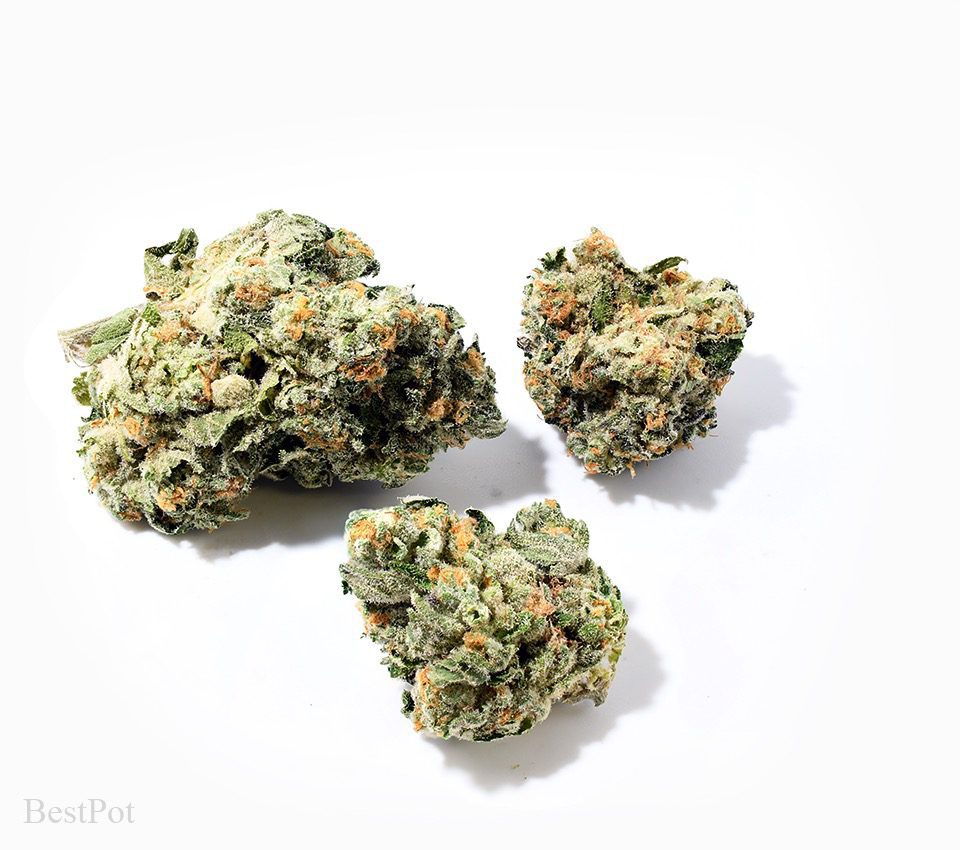 Fresh Biscotti (AAAA) Best Pot Delivery