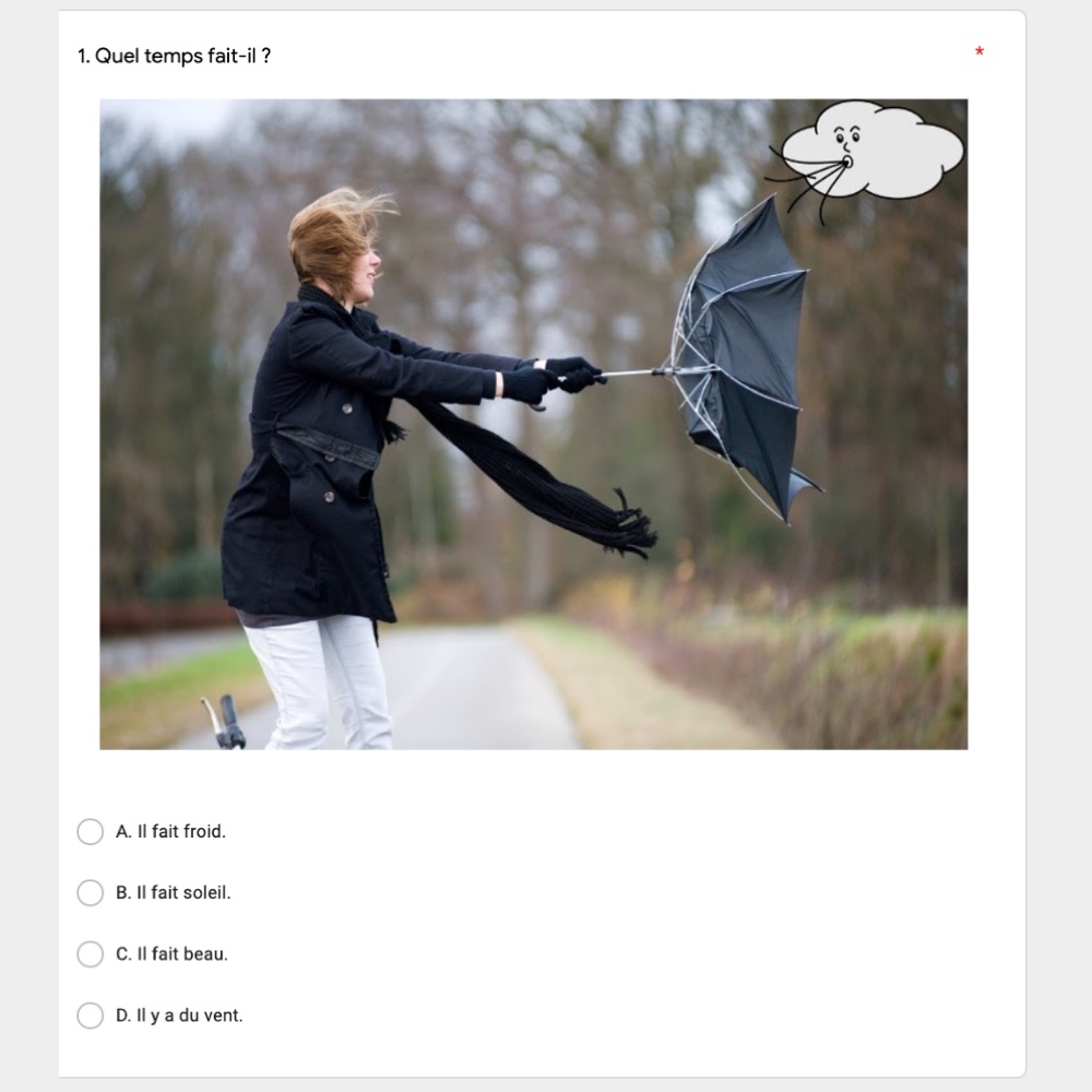 Le Temps French Weather Vocabulary Google Forms Activity Best