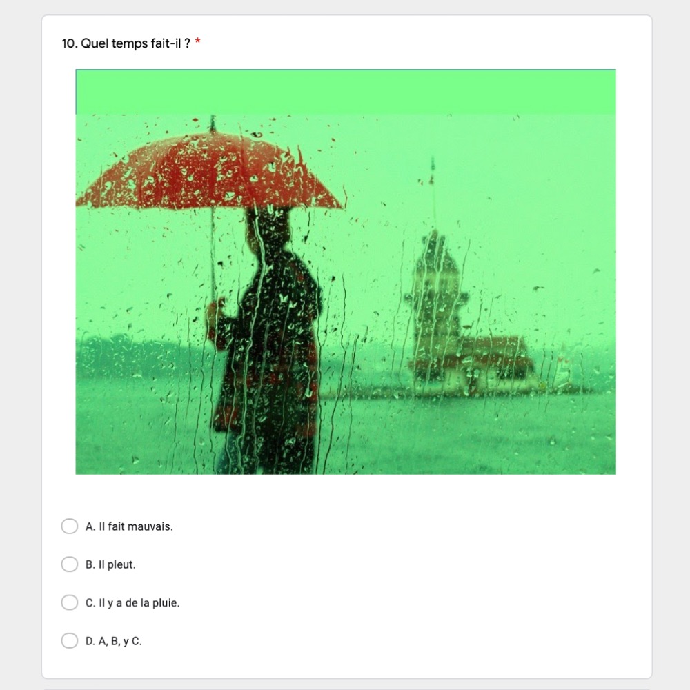 Le Temps French Weather Vocabulary Google Forms Activity Best