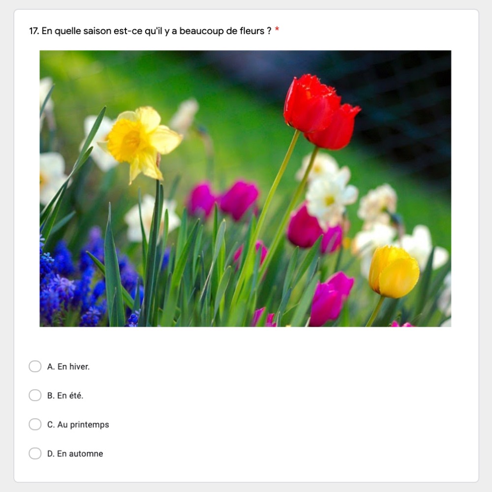 Le Temps French Weather Vocabulary Google Forms Activity Best