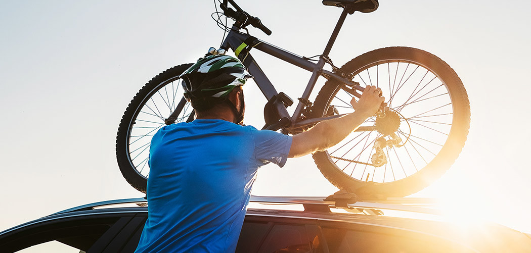 Thule Bike Rack Guide 2023 Best Roof Box