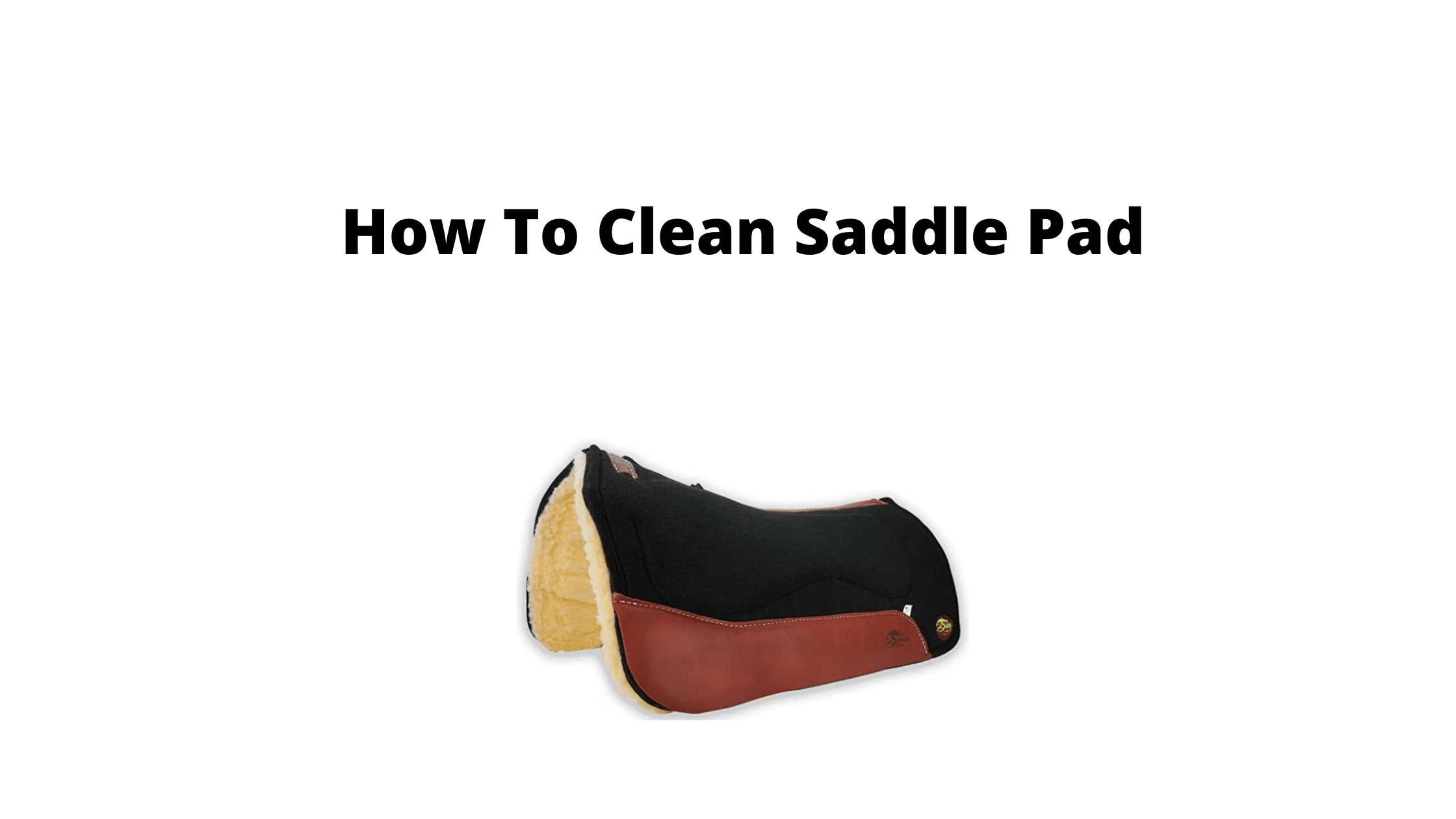 How To Clean Saddle Pads Easily In 2023 Quick Guides