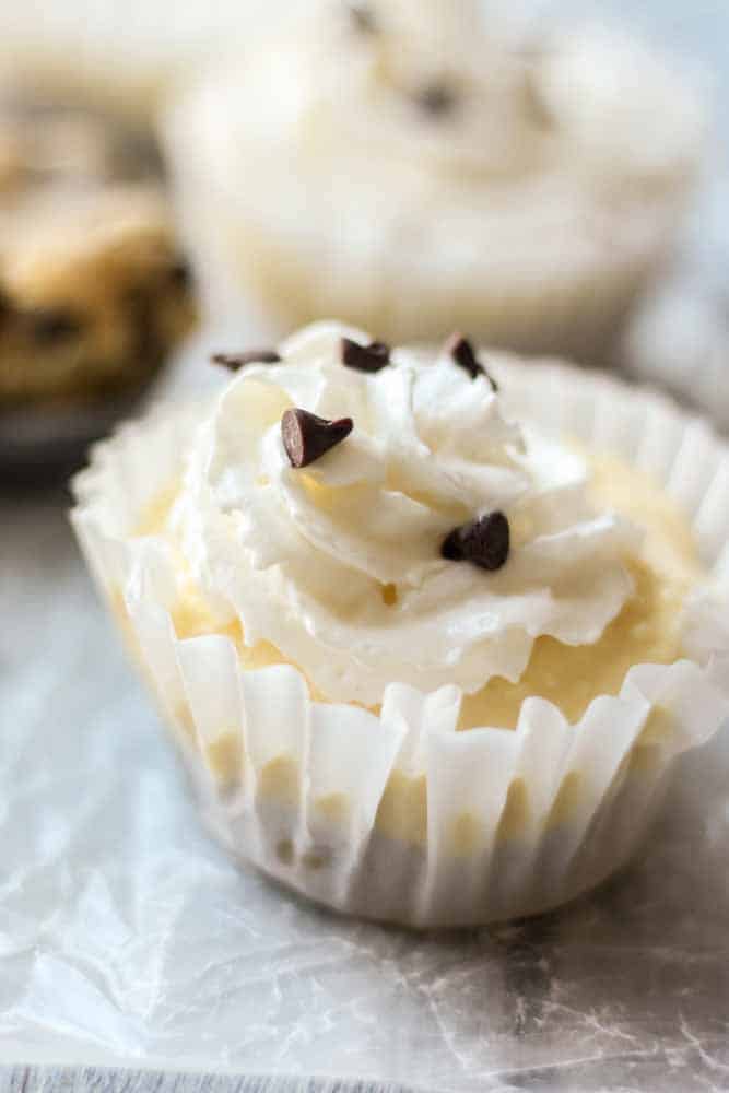 Chocolate Chip Cookie Dough Cheesecake Bites What Molly Made