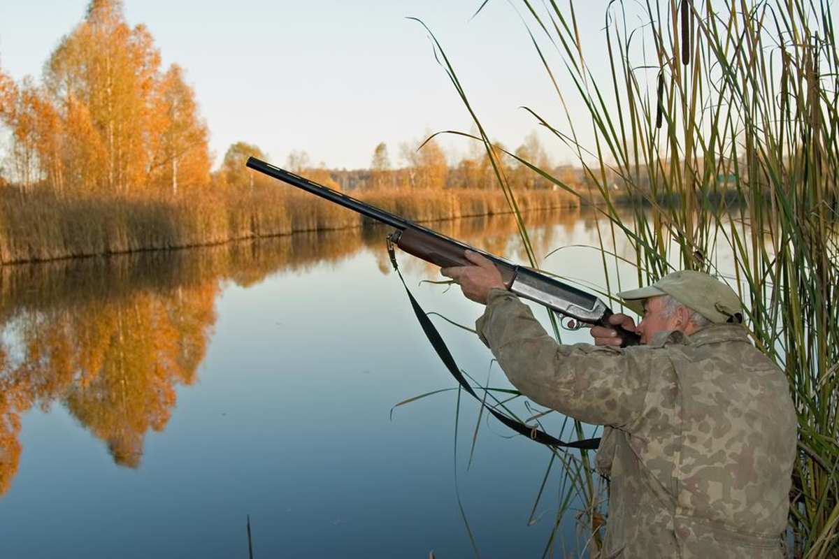 Wood Duck Hunting Tips Best Scope Guide