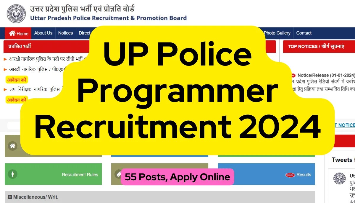 UP Police Programmer Recruitment 2024 55 Posts, Apply Online