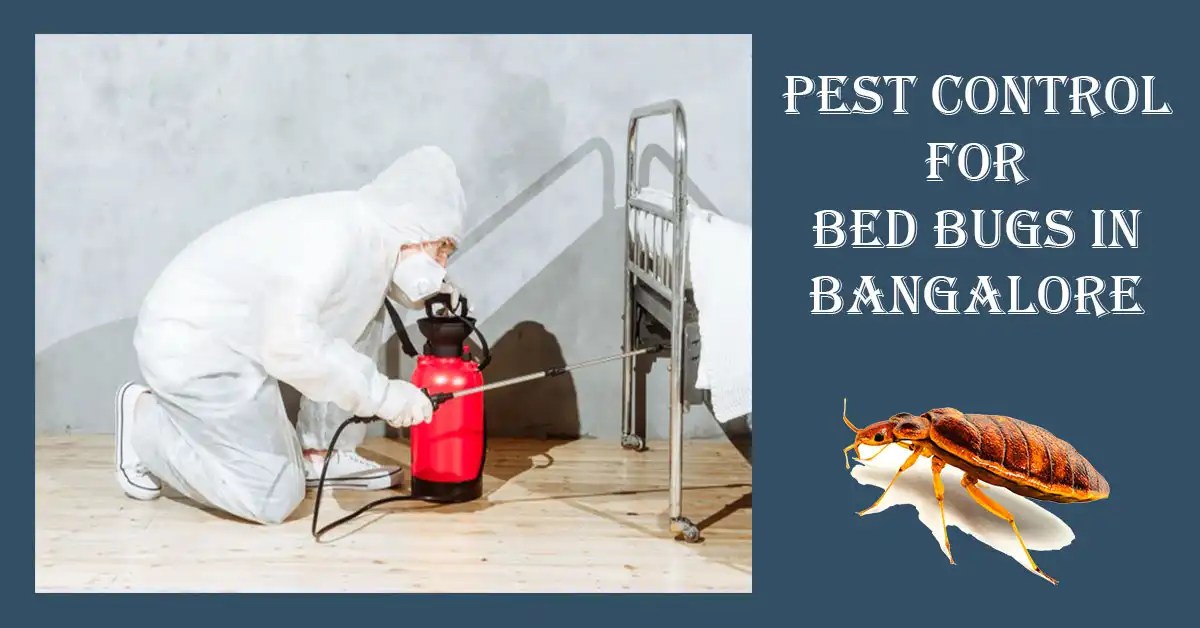 Bed Bugs Treatment in Bangalore Bed Bug Control Services