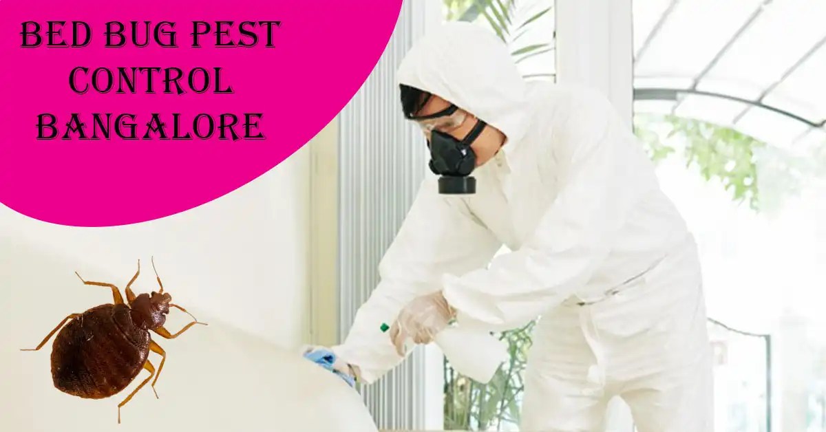 Bed Bugs Treatment in Bangalore Bed Bug Control Services