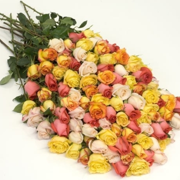 100 Assorted Roses Best Shopping Onus