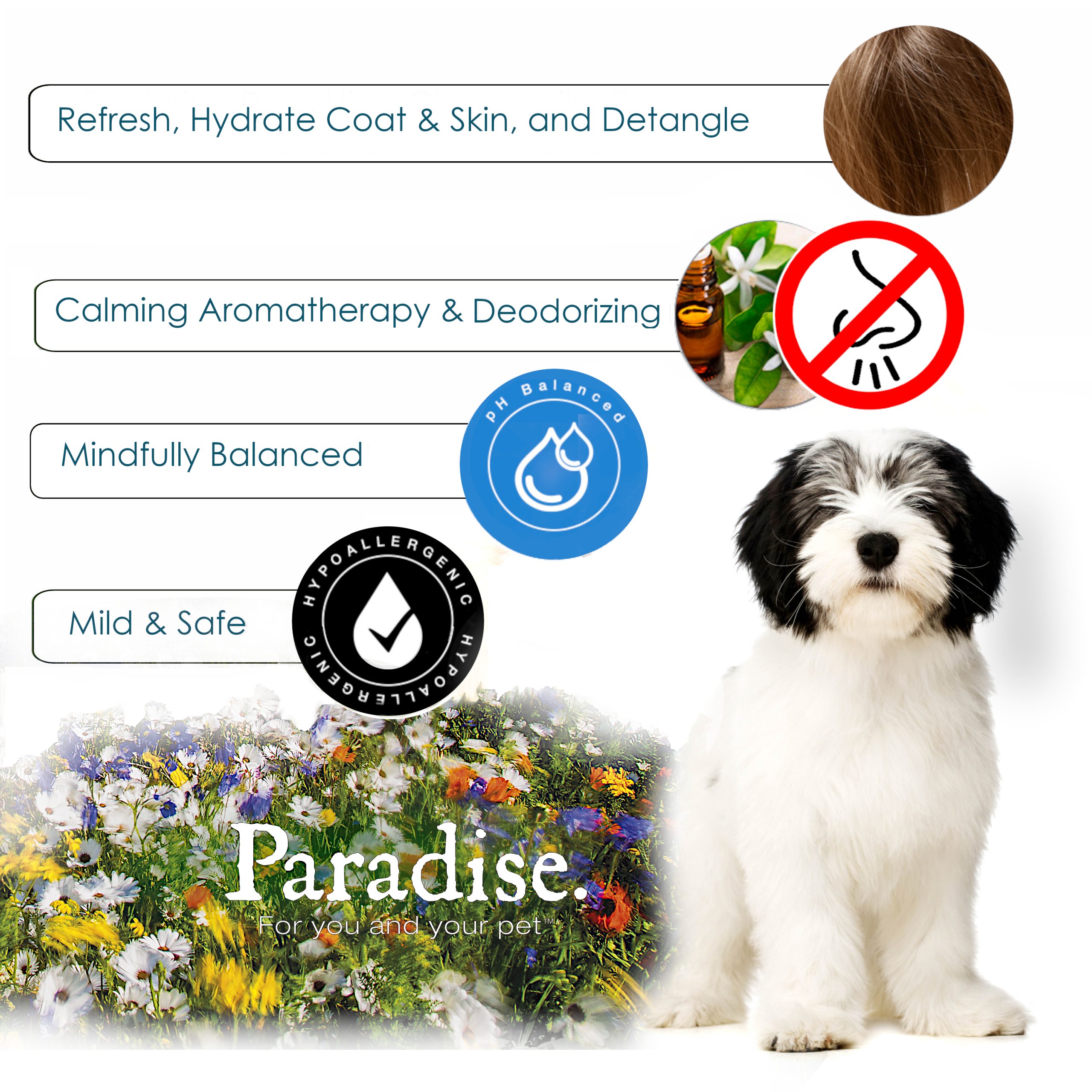 Assorted Body & Detangle Sprays Best Shot Pet Products