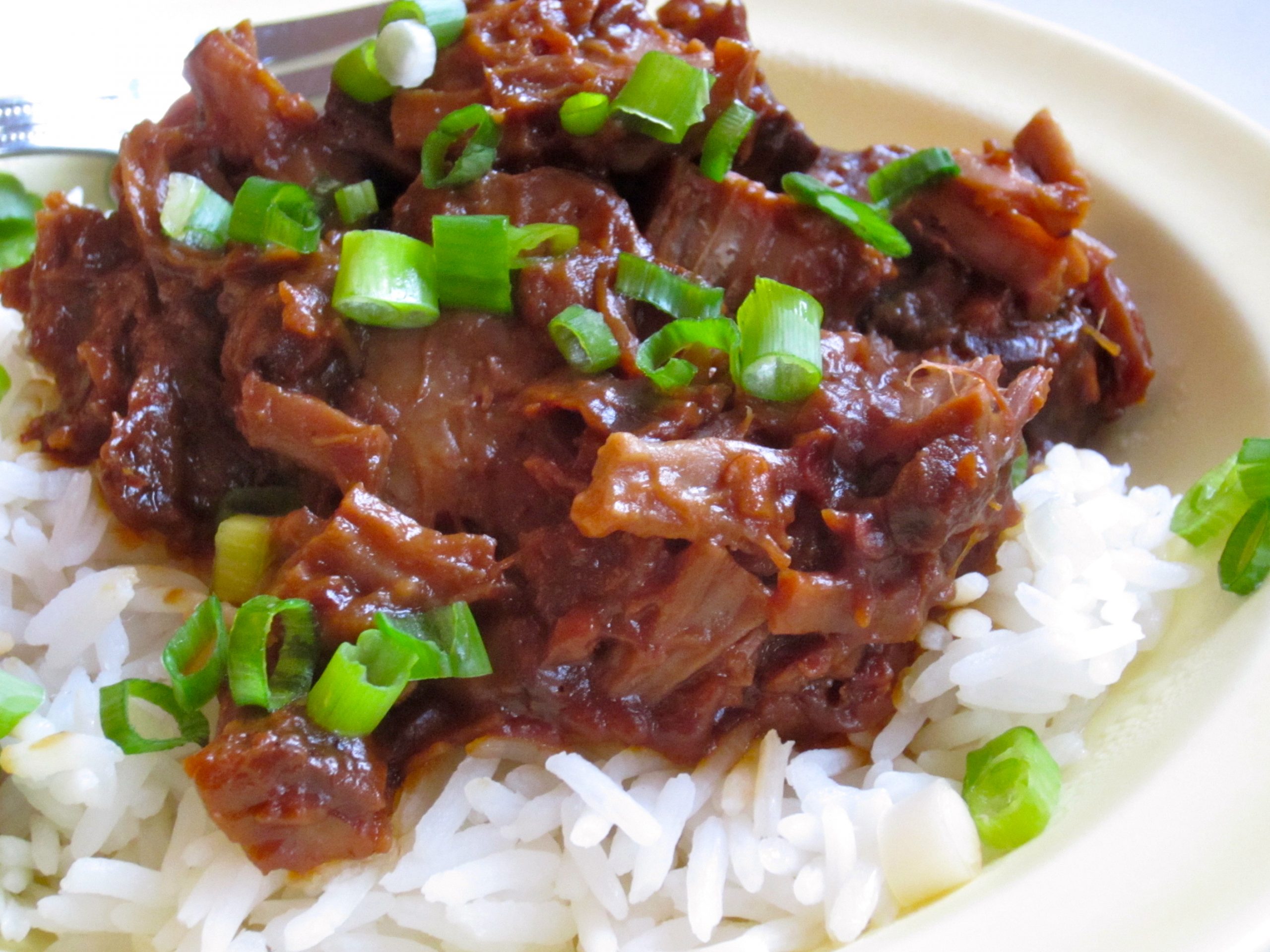 SW recipe Slow cooker peanut satay pork