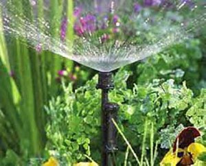 Best Sprinkler Attachment For Hose: Top-6 - Best Sprinkler Systems