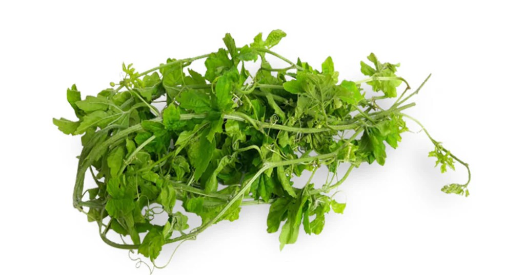 Dahon ng Ampalaya The Bitter Leaf with Incredible Health Benefits