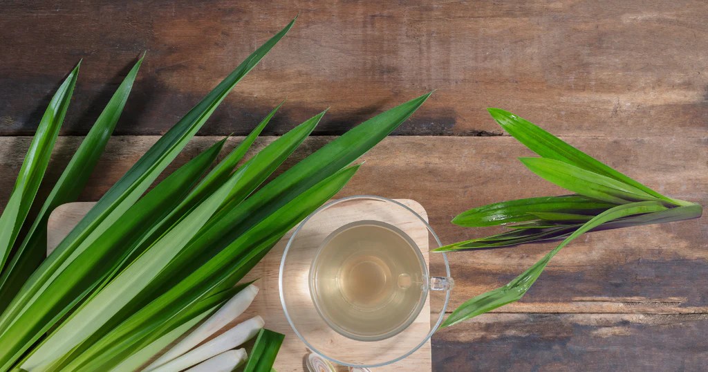 Pandan Leaves Uses, Benefits, and Cooking Tips Ecosprout