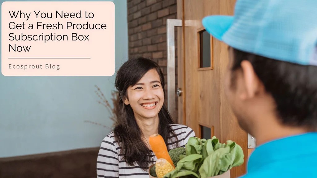 Top 5 Reasons Why You Need to Get a Fresh Produce Subscription Box