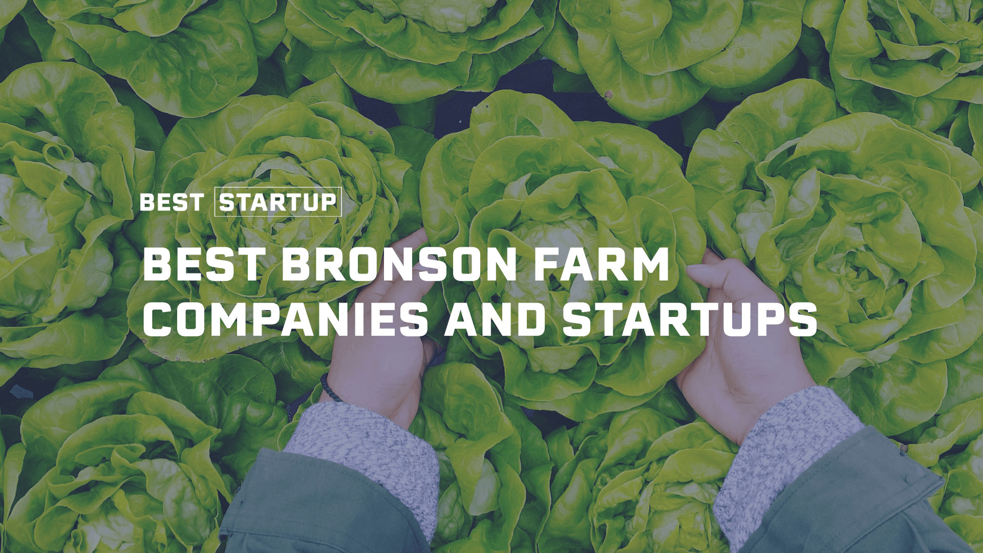 Bronson, MI's Farming Frontier A Showcase of Agricultural Pioneers