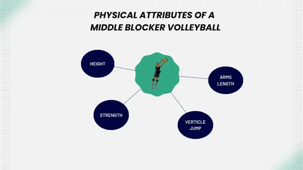 Middle Blocker Volleyball Position A Comprehensive Guide 101
