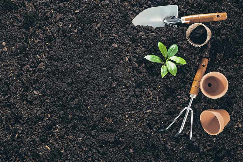 Characteristics Of Good Soil Best Worm Farm