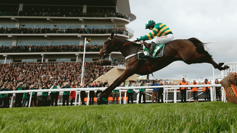 Sky Bet Cheltenham Offer Money Back First Race Cheltenham Every Day
