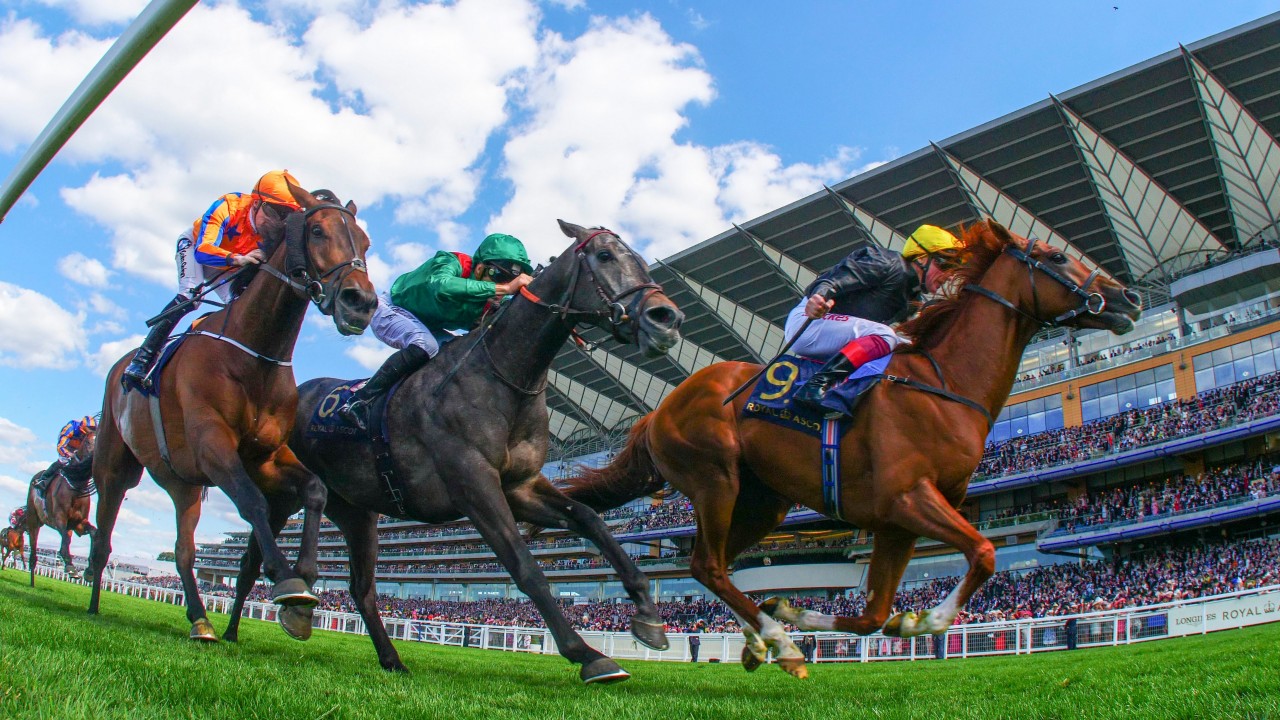 Horse Racing Odds Checker Betting Odds Compare Prices