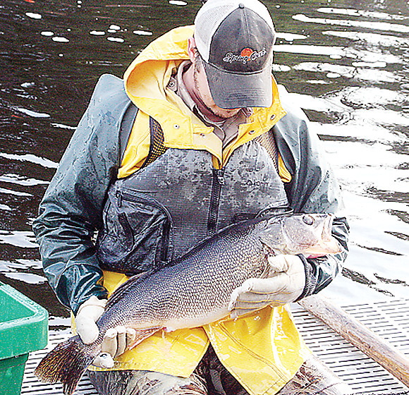 Vermilion walleye regulations set to change The Timberjay