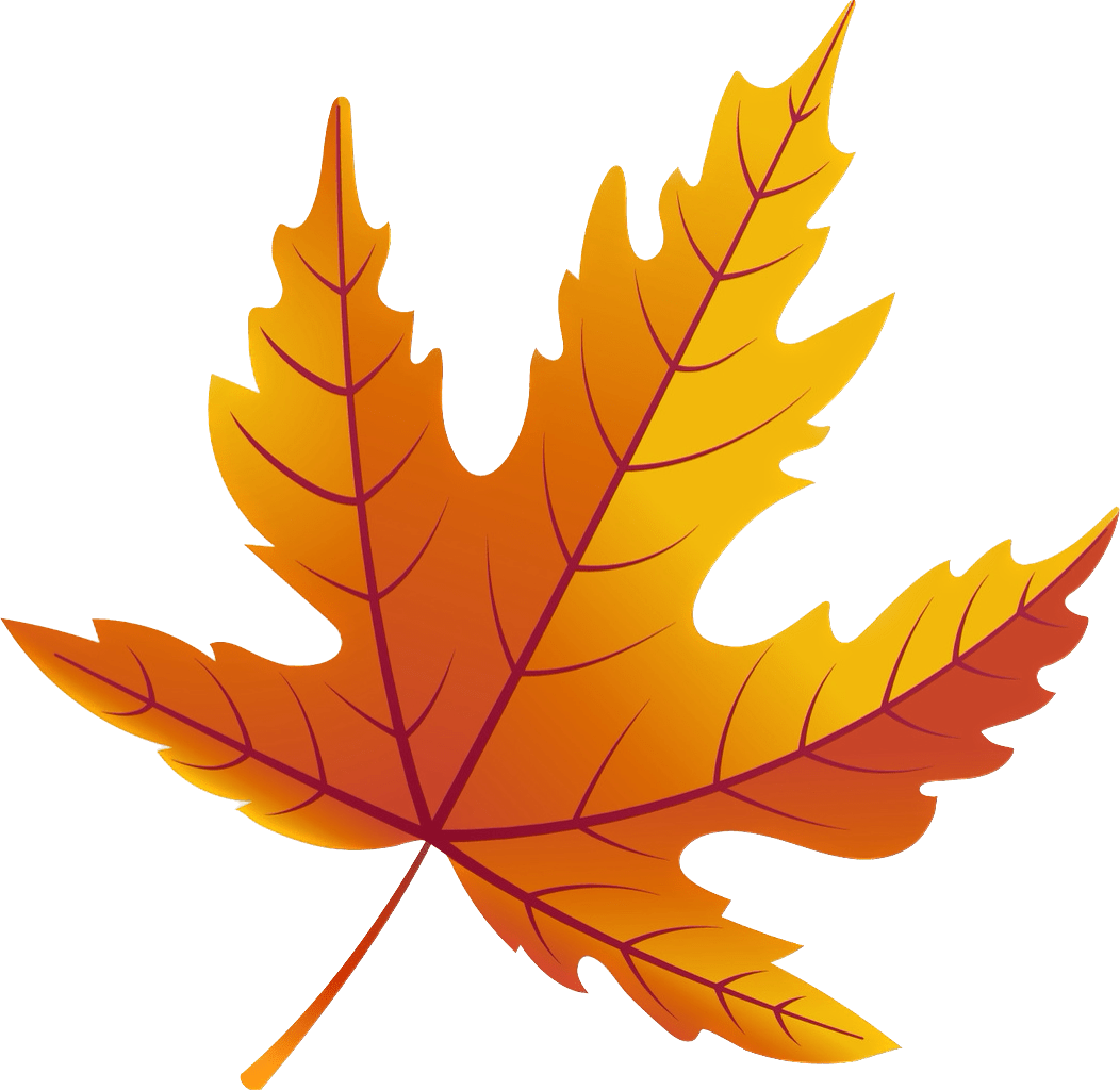 The Outlook Apartments For Rent Graham, WA,98338