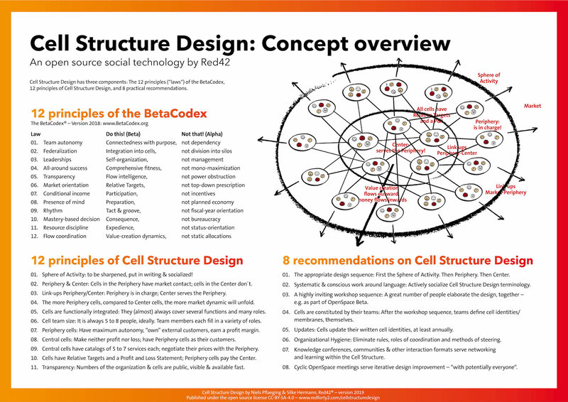 Cell Structure Design - What does a Beta organization look like?