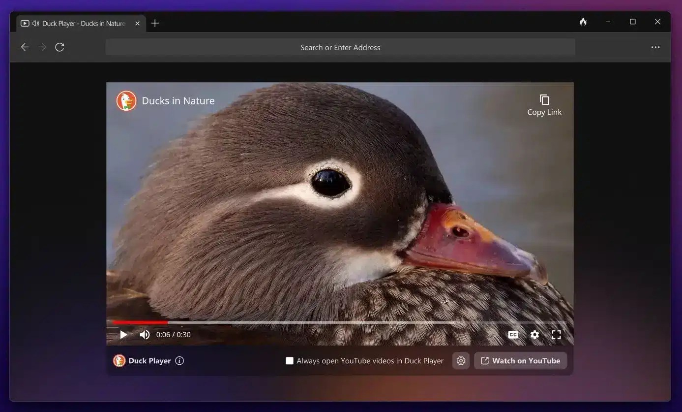 Protect your privacy with public beta of DuckDuckGo web browser for Windows