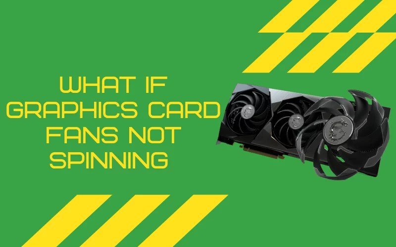 How to Check Graphics Card Fans Not Spinning? Experts Guide