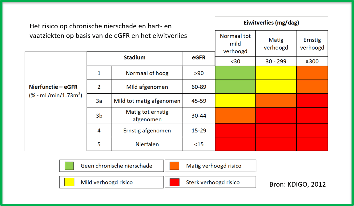De 7 Voedingsinzichten Voor Nierpatiënten Uit Ons Nascholingsartikel Voor Artsen - Beterschappen