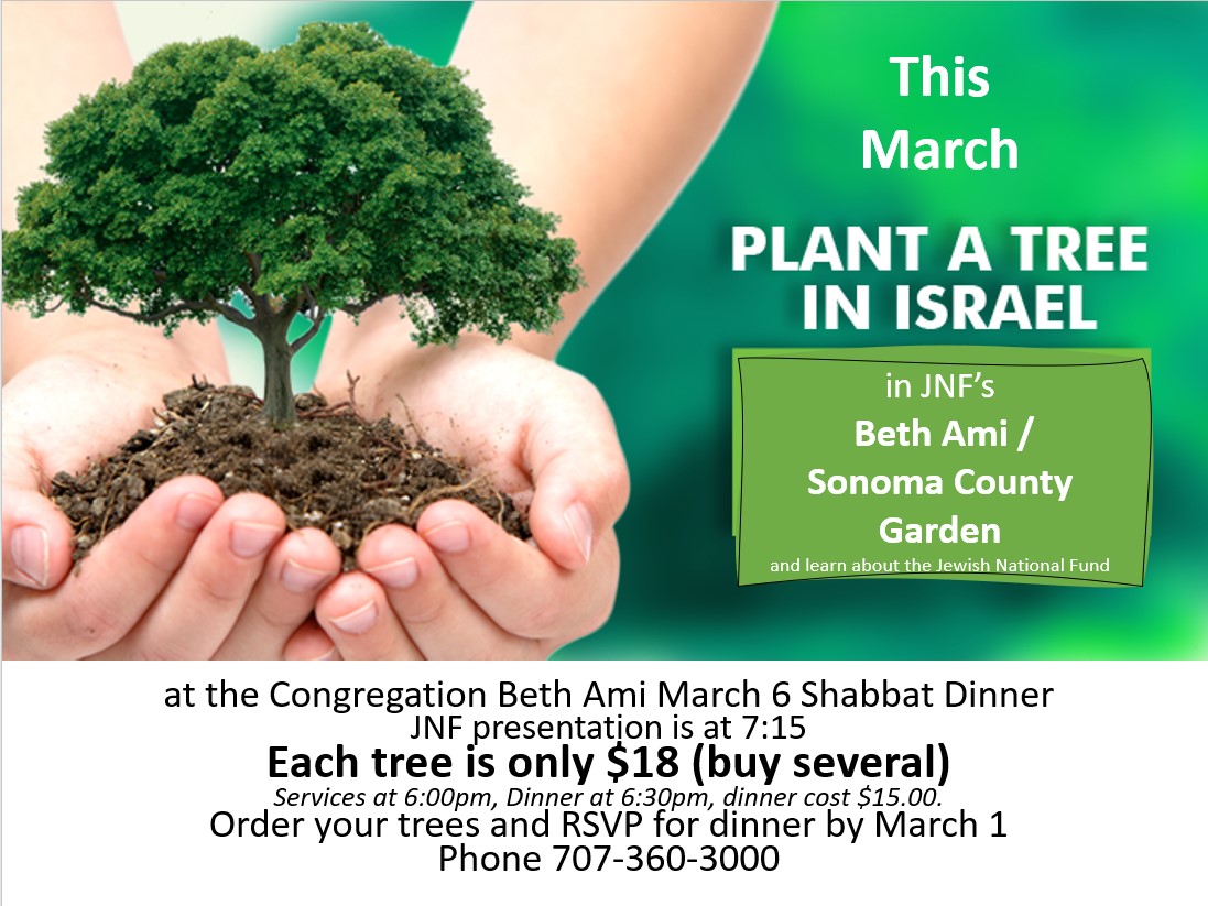 Plant Your Trees in Israel! Congregation Beth Ami