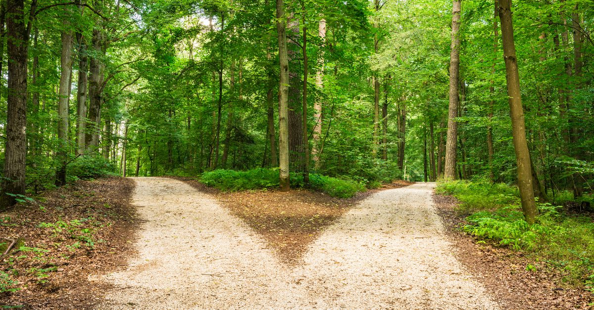 Easement vs right of way what's the difference? (2024)