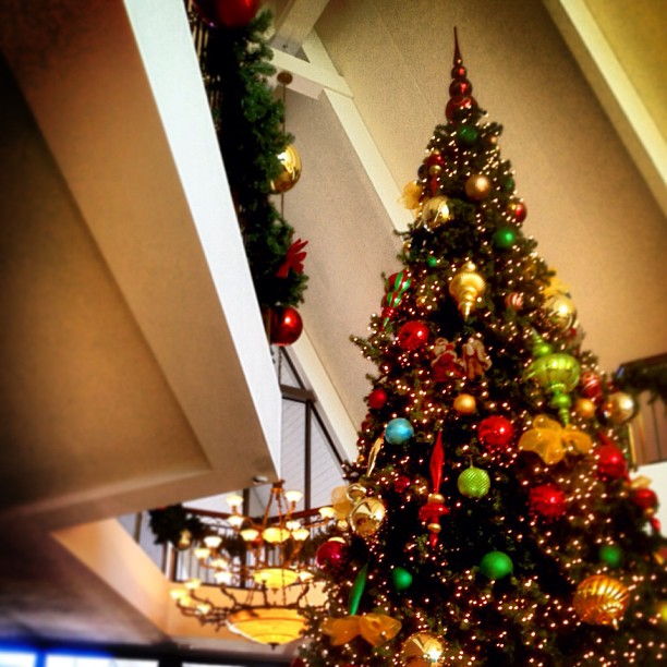 Christmas at Marco Island Marriott in Instagram Photos