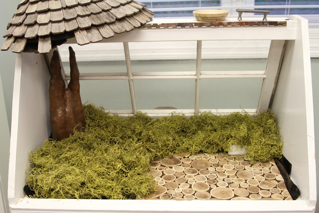 Constructing an Epic DIY Fairy Garden from Start to Finish